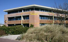 Duinroos